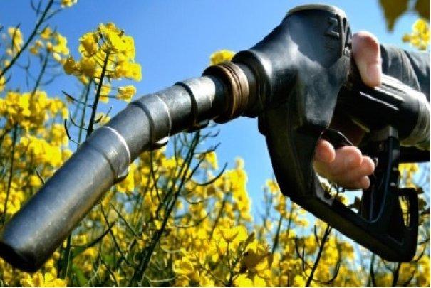 ایجاد زیست بوم فناوری در زمینه سوختهای زیستی ایجاد زیست بوم فناوری در زمینه سوختهای زیستی