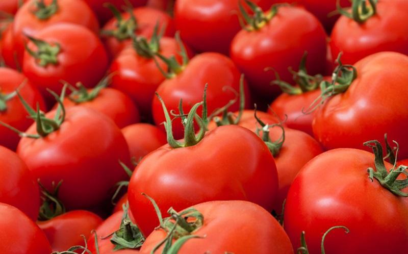 توزیع گوجه فرنگی در میوه و تره بار 4500 تومان است توزیع گوجه فرنگی در میوه و تره بار 4500 تومان است